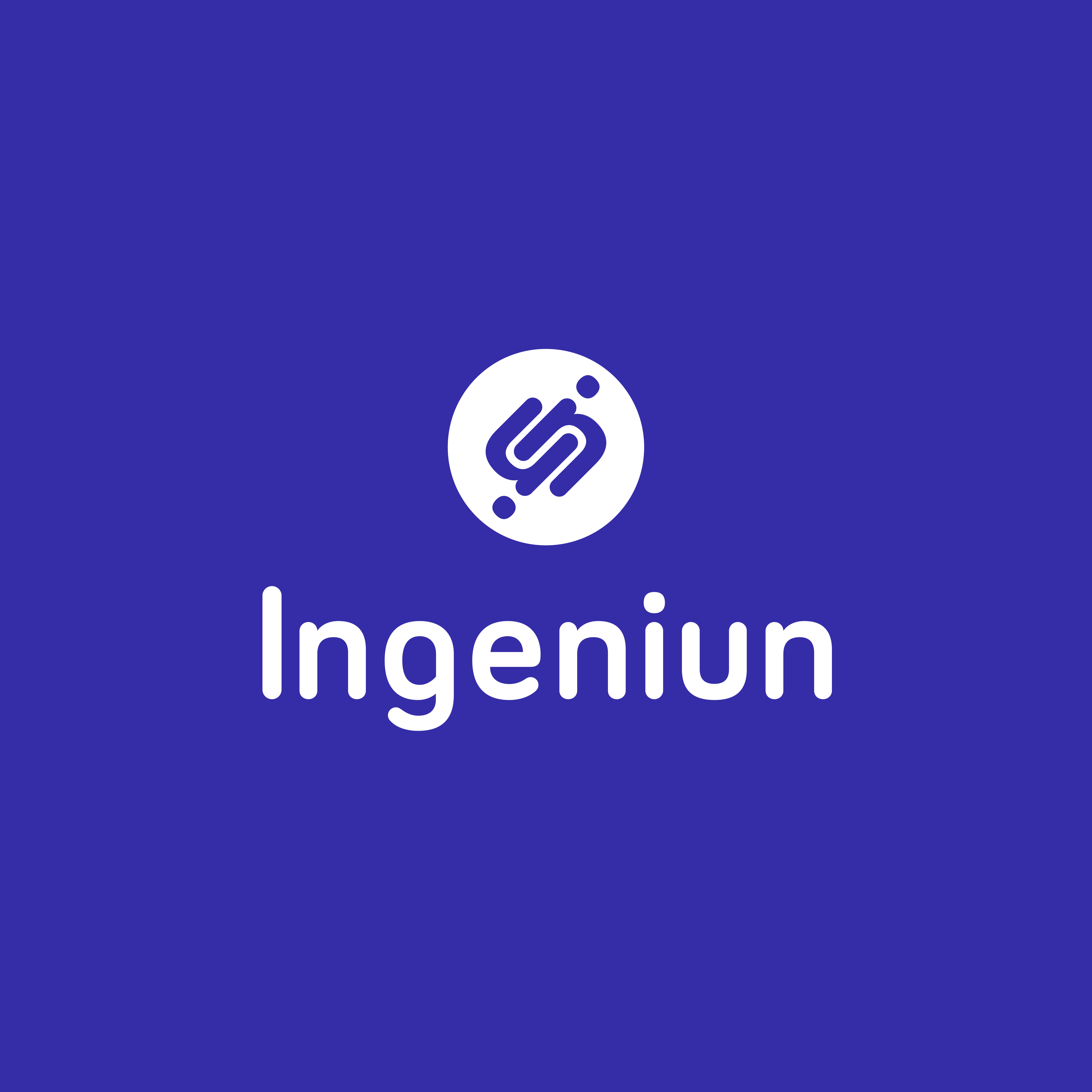 ingeniun.co